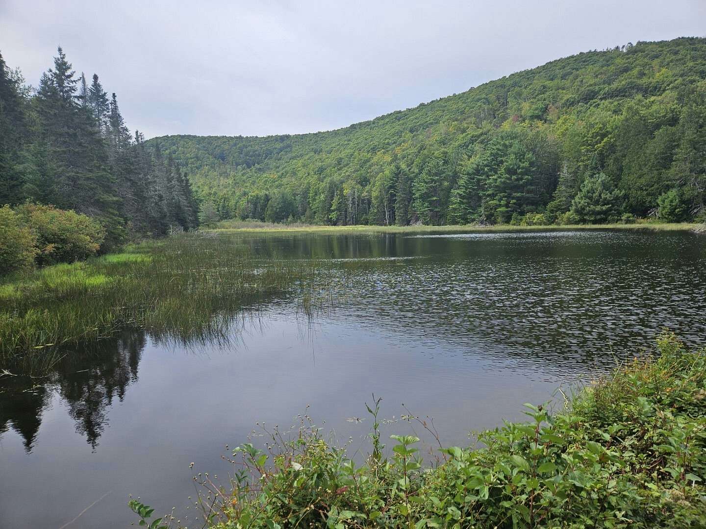 688 Acres of Recreational Land for Sale in Dixmont, Maine