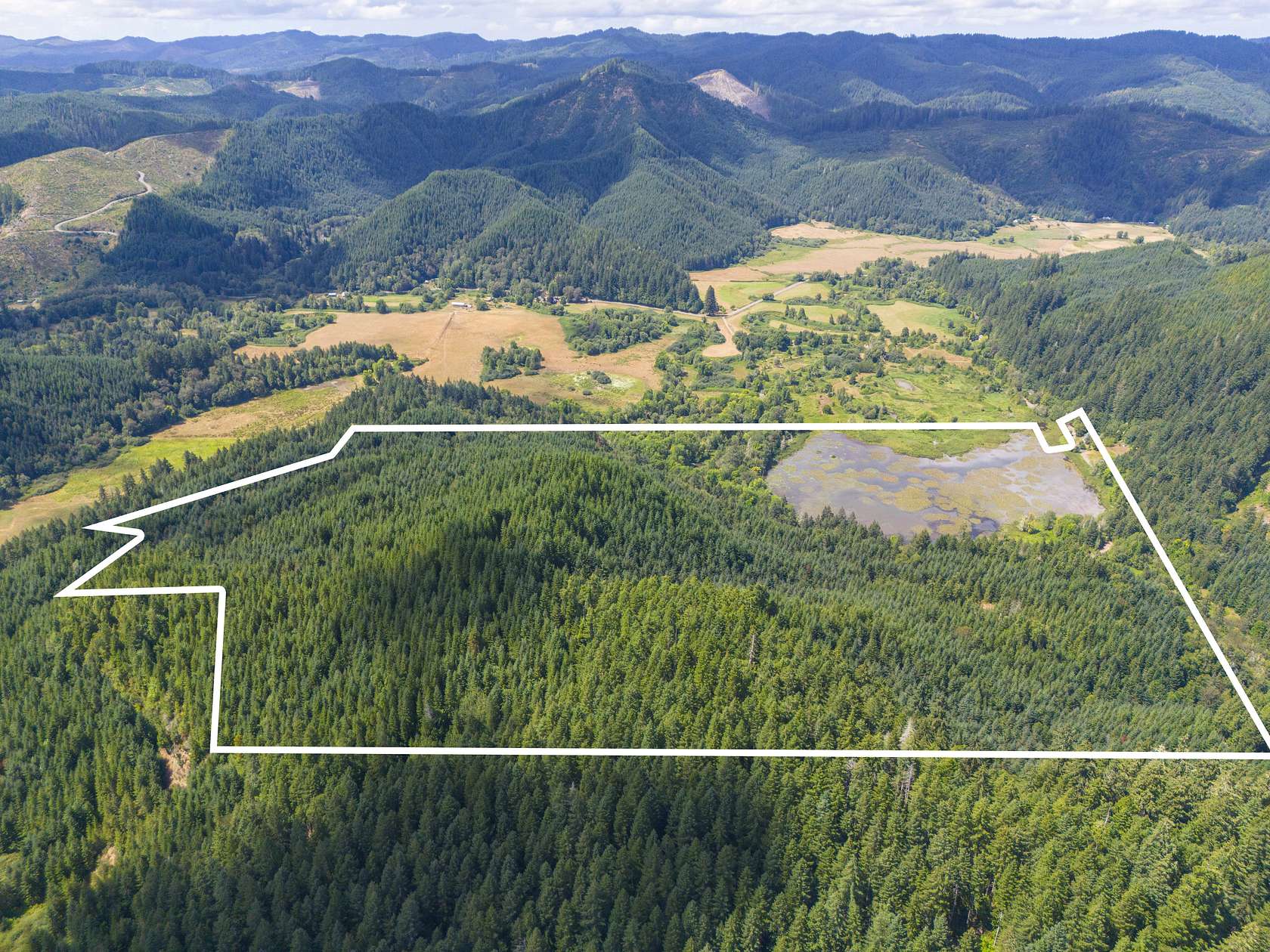 197.65 Acres of Land for Auction in Reedsport, Oregon