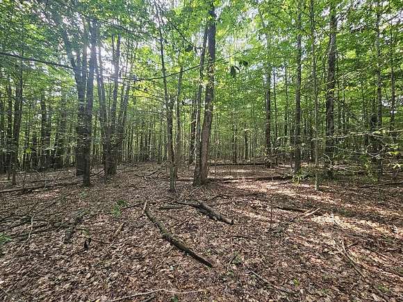 30 Acres of Recreational Land for Sale in Warren Center, Pennsylvania