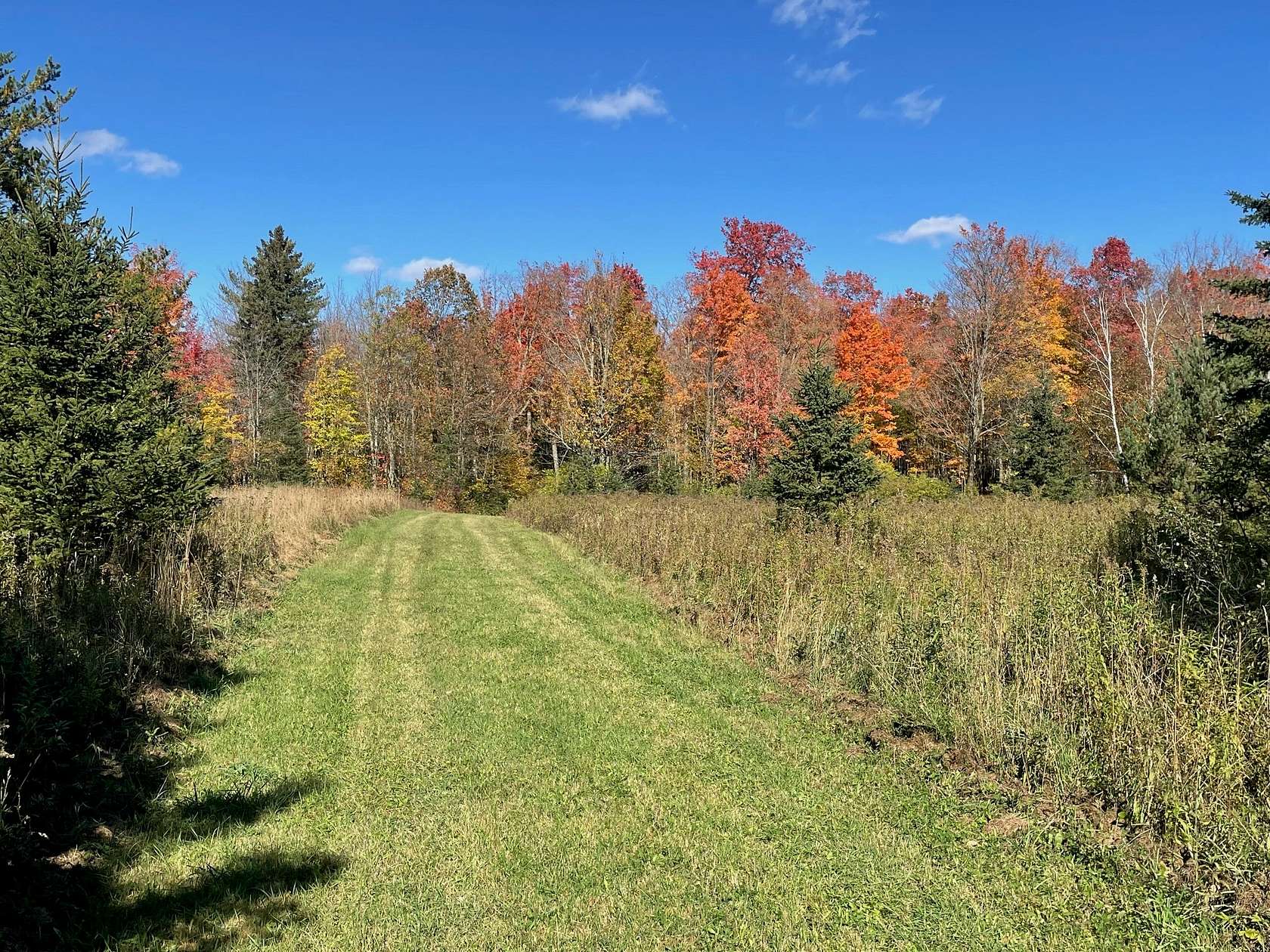 94 Acres of Recreational Land for Sale in Gleason, Wisconsin