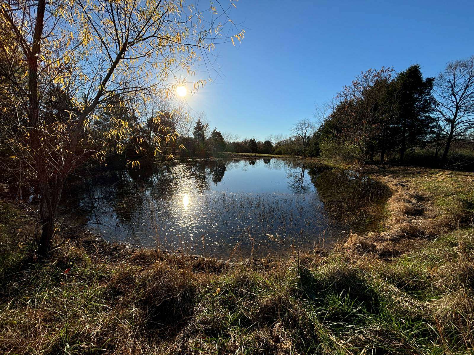 15 Acres of Land for Sale in Creal Springs, Illinois