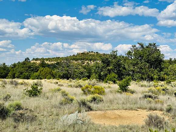 20.12 Acres of Recreational Land for Sale in Pie Town, New Mexico