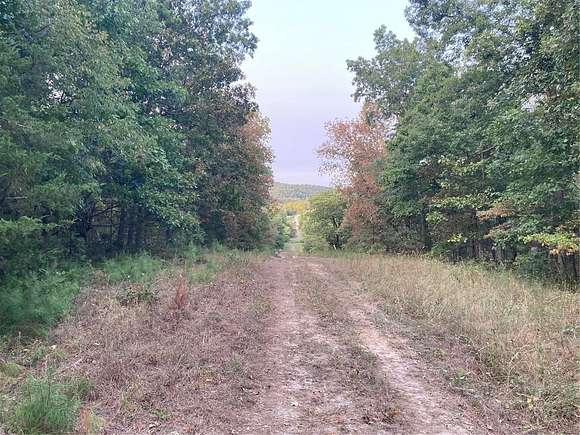 48 Acres of Recreational Land & Farm for Sale in Fredericktown, Missouri