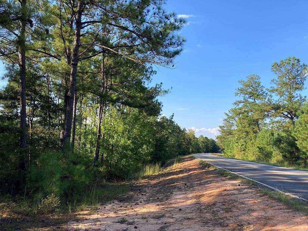 49.6 Acres of Recreational Land for Sale in Cusseta, Georgia