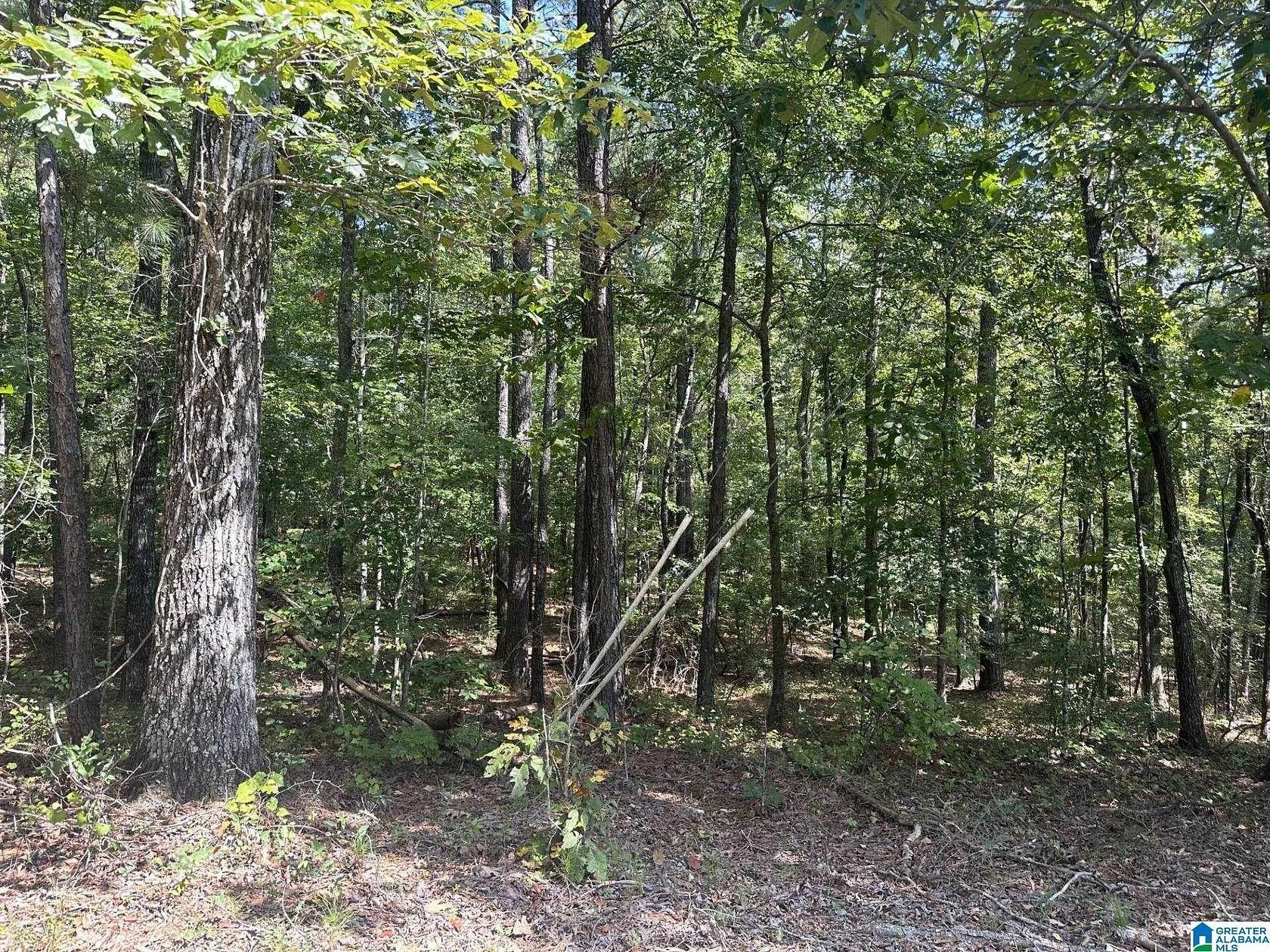 1.116 Acres of Residential Land for Sale in Leeds, Alabama