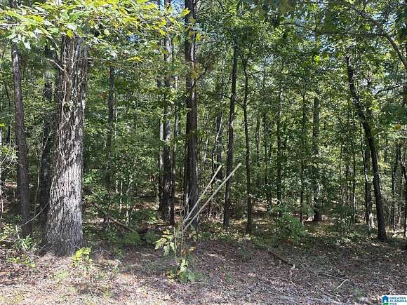 1.116 Acres of Residential Land for Sale in Leeds, Alabama