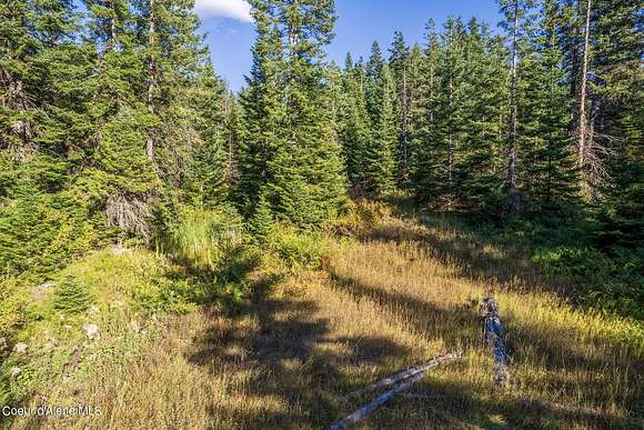 20 Acres of Recreational Land for Sale in Harrison, Idaho