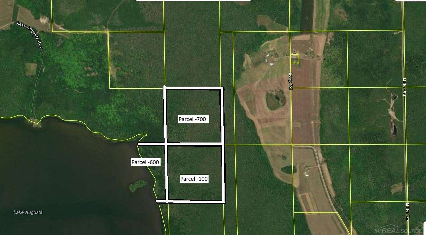 100 Acres of Recreational Land for Sale in Posen, Michigan