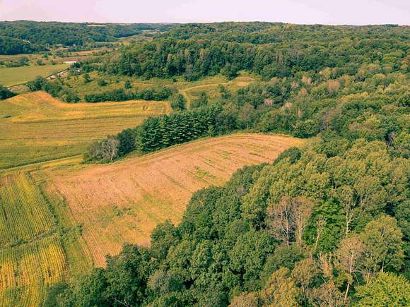 114.15 Acres of Land for Sale in Plain, Wisconsin