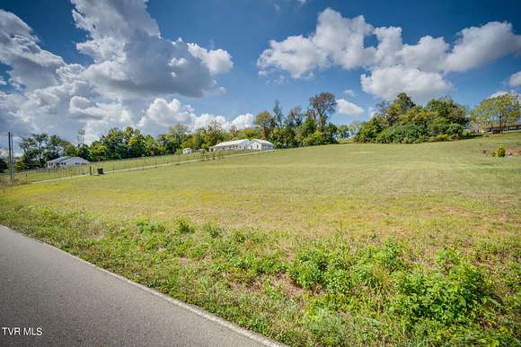 0.78 Acres of Residential Land for Sale in Johnson City, Tennessee