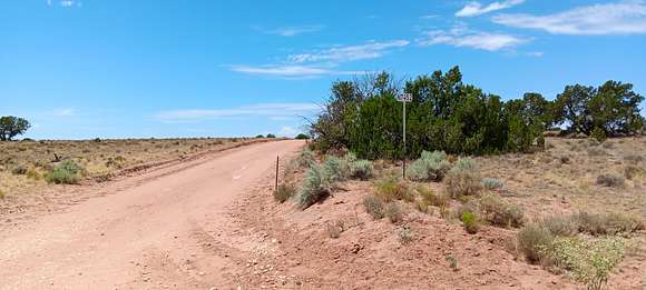 1.24 Acres of Residential Land for Sale in St. Johns, Arizona