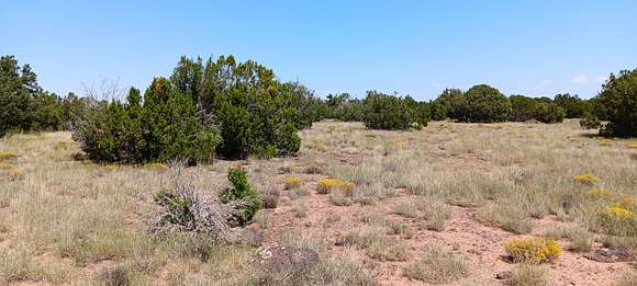 1.03 Acres of Recreational Land for Sale in Concho, Arizona