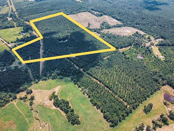 85 Acres of Land for Sale in Downsville, Louisiana