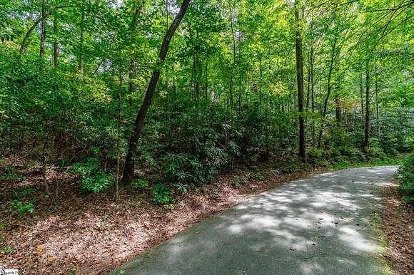 0.98 Acres of Residential Land for Sale in Marietta, South Carolina