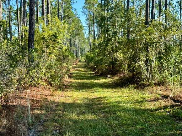 40.5 Acres of Recreational Land for Sale in Greenville, Florida