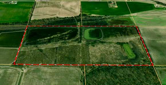 80 Acres of Recreational Land for Sale in Olive Branch, Illinois