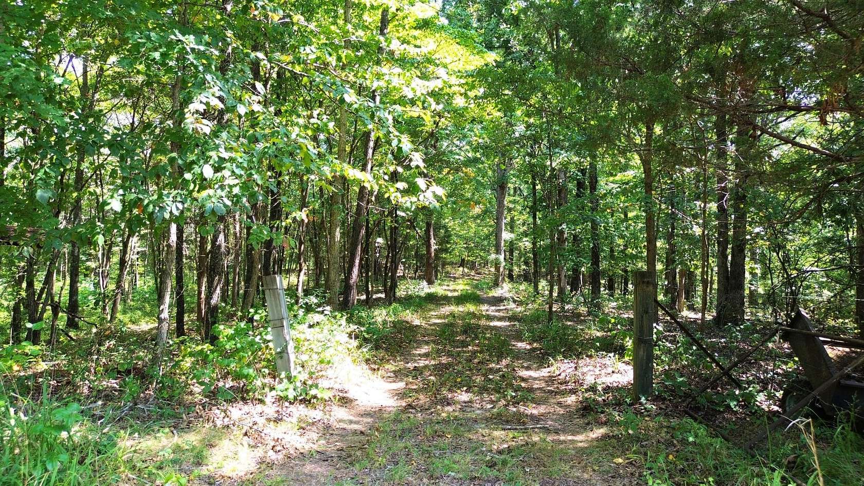 40.2 Acres of Recreational Land for Sale in Fairview, Tennessee