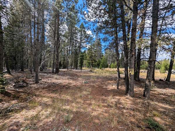 1 Acre of Residential Land for Sale in Chiloquin, Oregon
