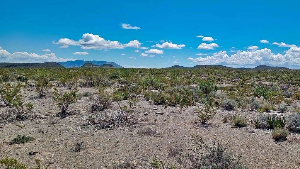 21 Acres of Land for Sale in Terlingua, Texas