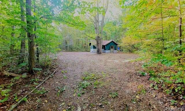 56.22 Acres of Recreational Land with Home for Sale in Gaylord, Michigan