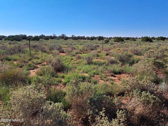 1.03 Acres of Residential Land for Sale in Williams, Arizona