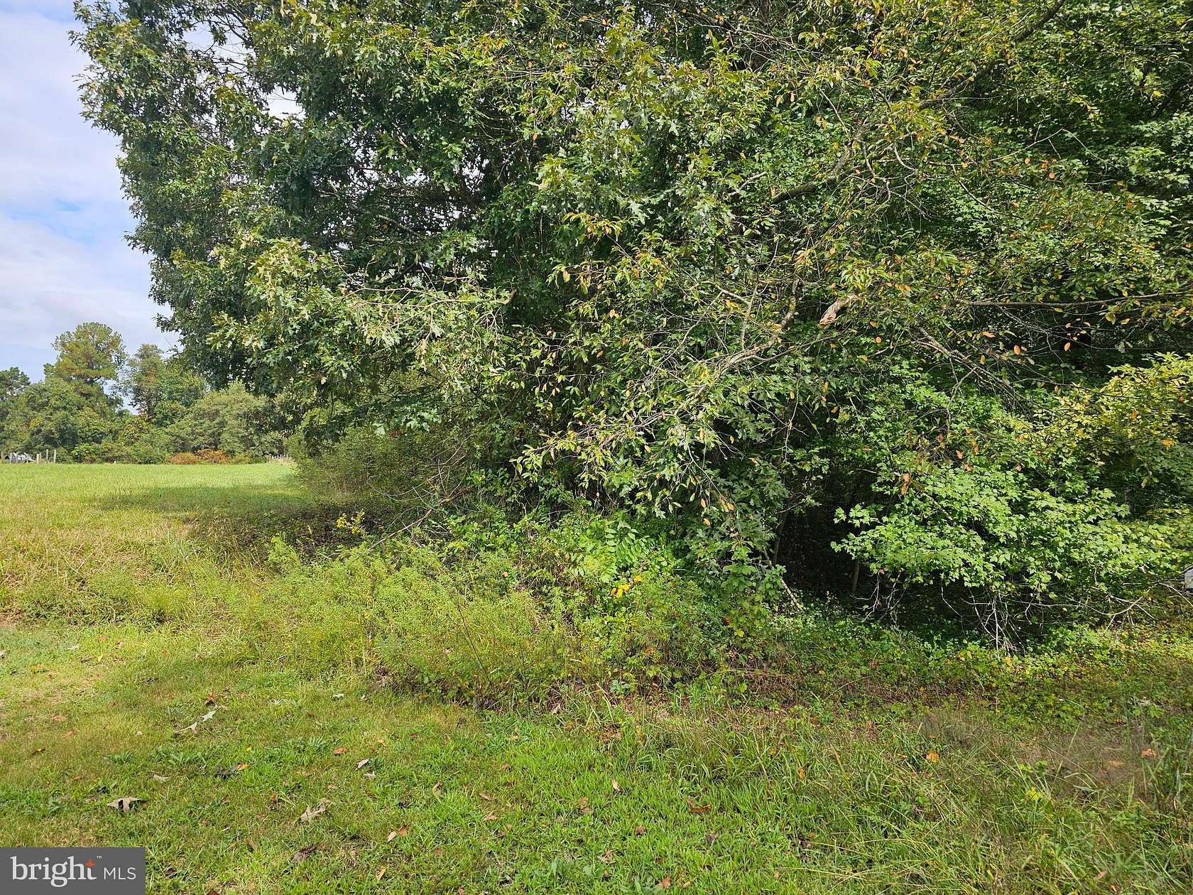1.4 Acres of Residential Land for Sale in Bushwood, Maryland
