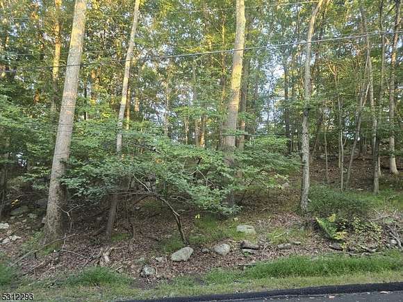 0.35 Acres of Residential Land for Sale in Hopatcong, New Jersey