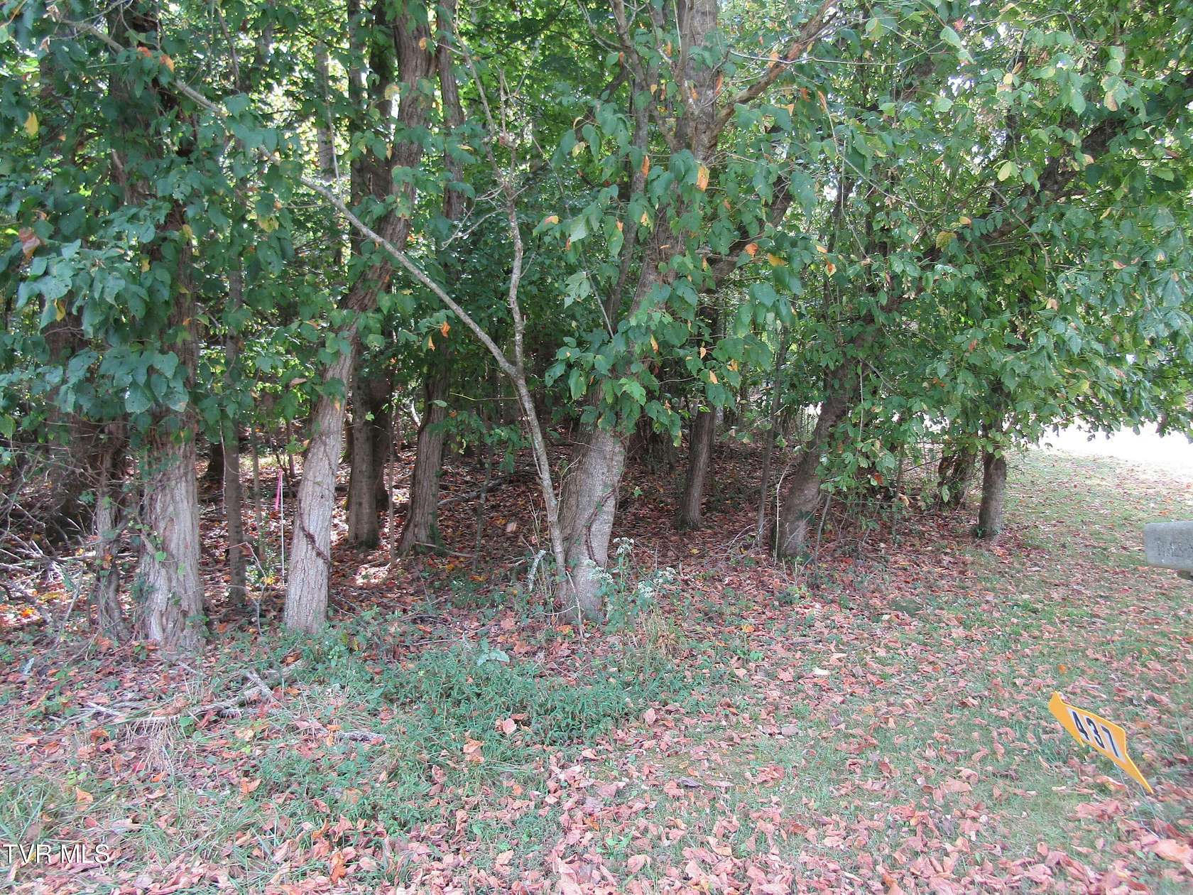 0.38 Acres of Residential Land for Sale in Piney Flats, Tennessee