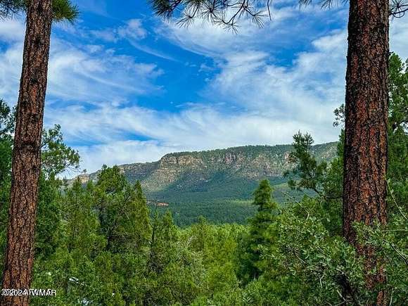 0.63 Acres of Residential Land for Sale in Pine, Arizona