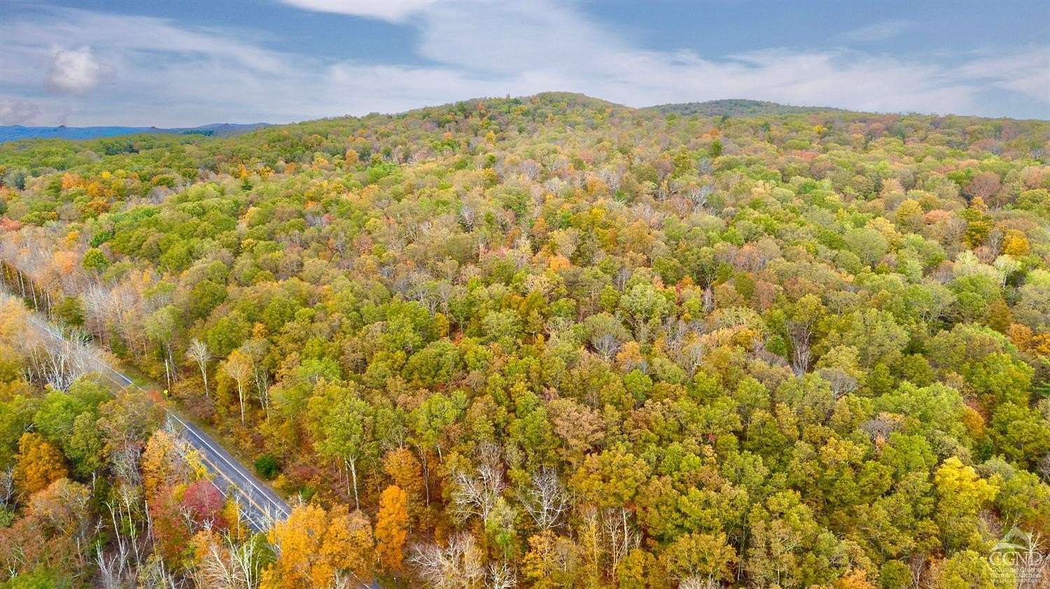 86.7 Acres of Land for Sale in Gallatin Town, New York