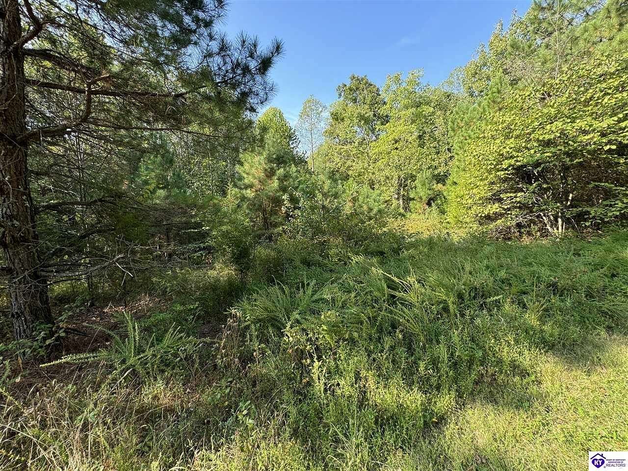 89.3 Acres of Recreational Land for Sale in Fordsville, Kentucky