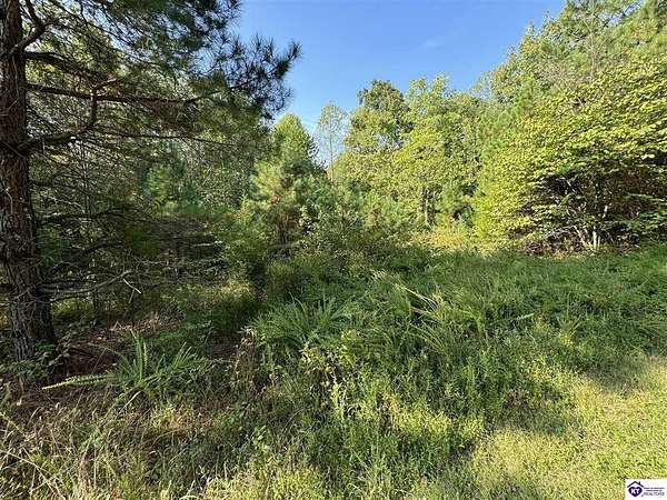 89.3 Acres of Recreational Land for Sale in Fordsville, Kentucky