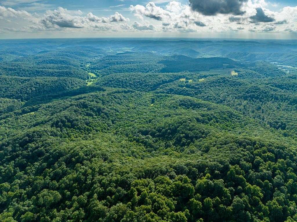 47 Acres of Recreational Land for Sale in Wallingford, Kentucky