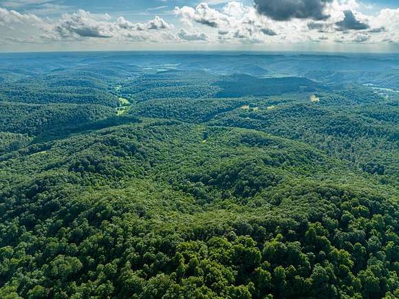 47 Acres of Recreational Land for Sale in Wallingford, Kentucky