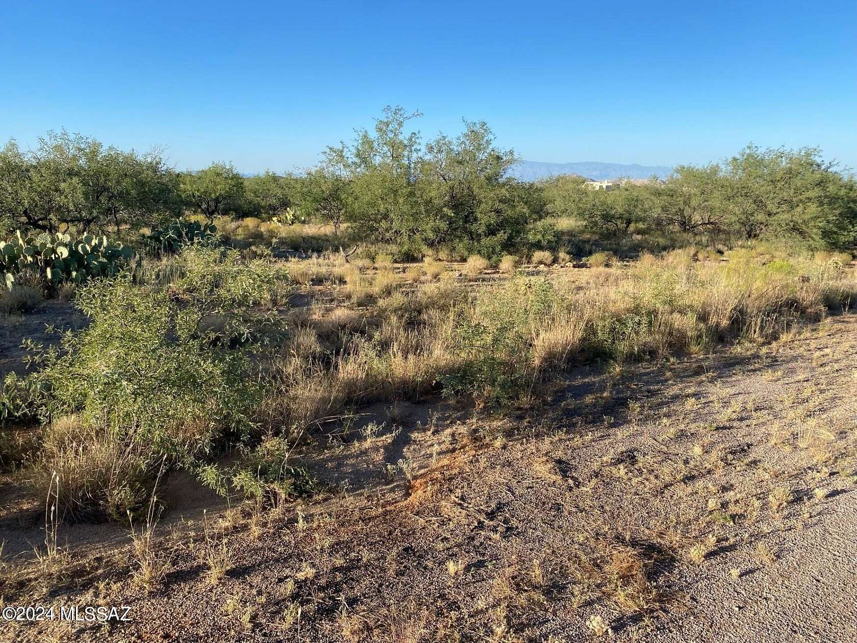 8.57 Acres of Residential Land for Sale in Sahuarita, Arizona