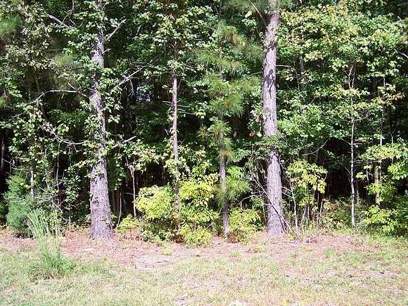 0.48 Acres of Residential Land for Sale in Reedville, Virginia