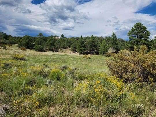 5.69 Acres of Residential Land for Sale in Westcliffe, Colorado