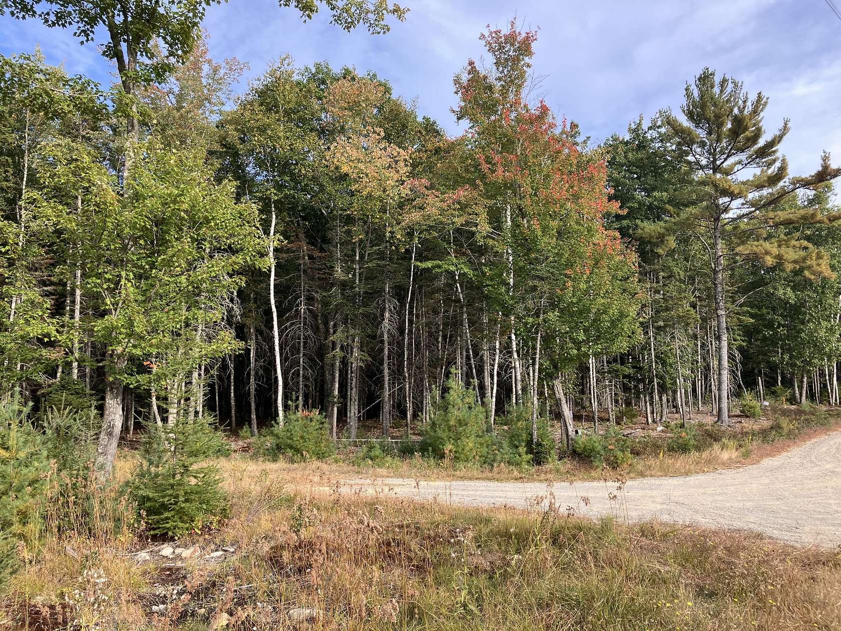 2.9 Acres of Residential Land for Sale in Bar Harbor, Maine