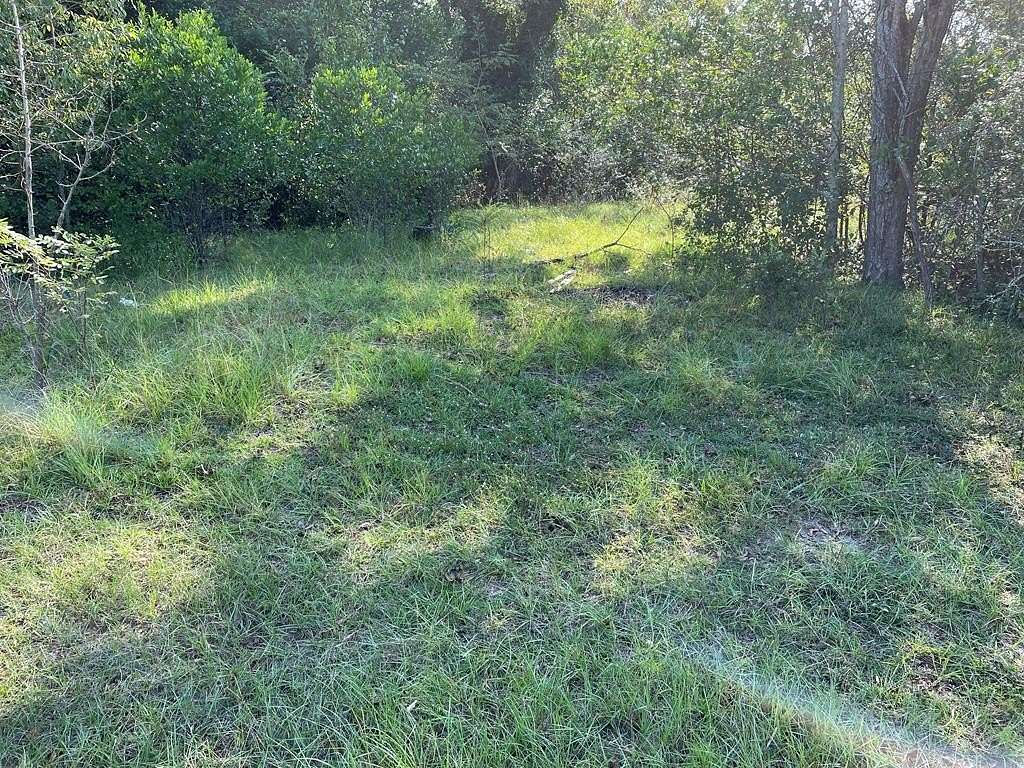 10 Acres of Residential Land for Sale in Vidalia, Georgia