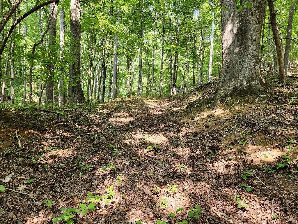 6.21 Acres of Land for Sale in Franklin, North Carolina