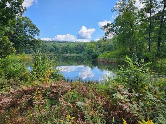 49.3 Acres of Land for Sale in Copake, New York