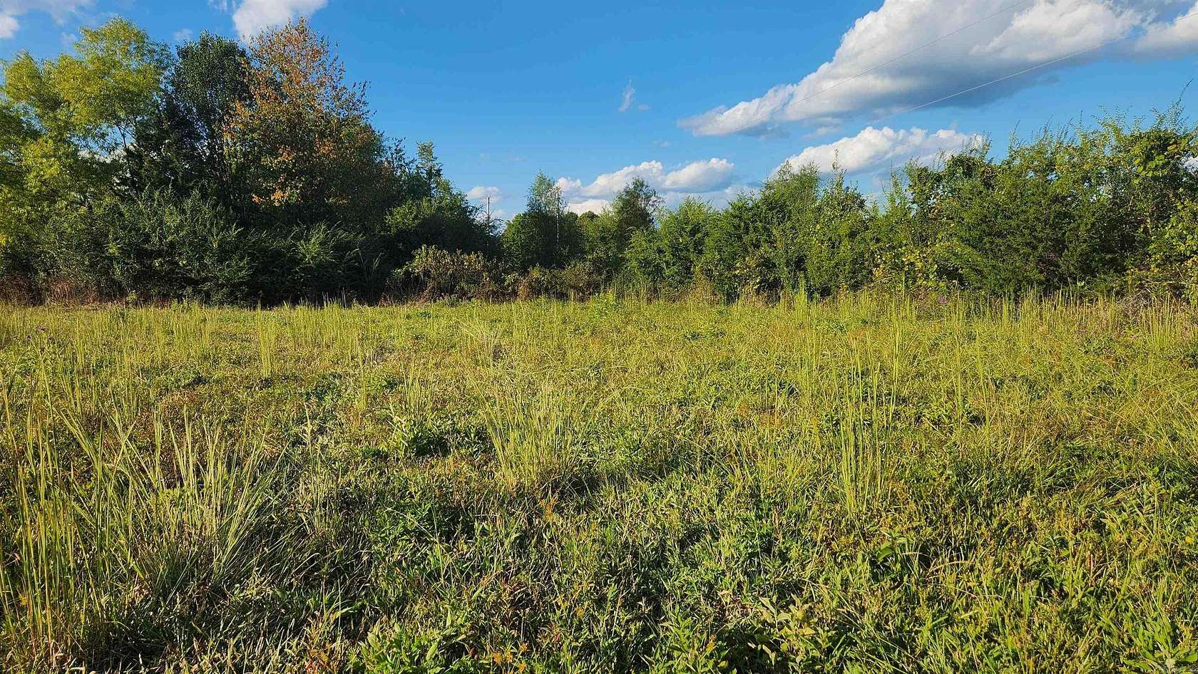 4.7 Acres of Land for Sale in Oden, Arkansas