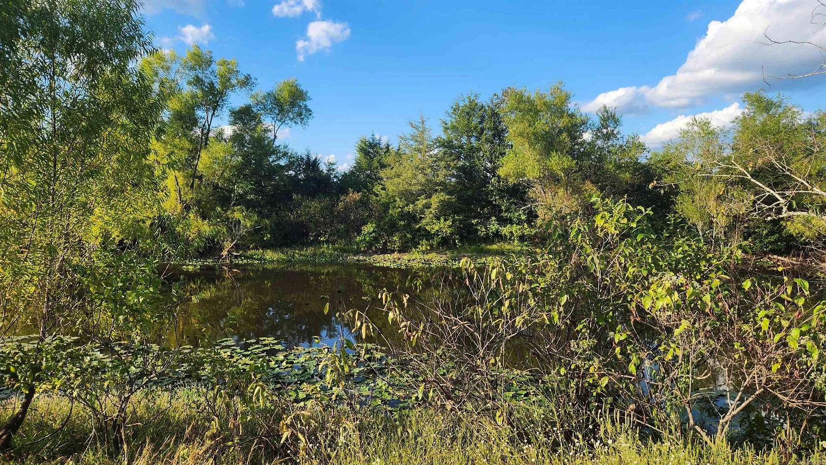 4.7 Acres of Land for Sale in Oden, Arkansas