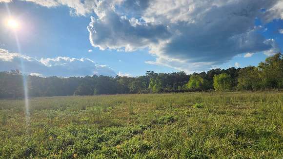 4.7 Acres of Land for Sale in Oden, Arkansas