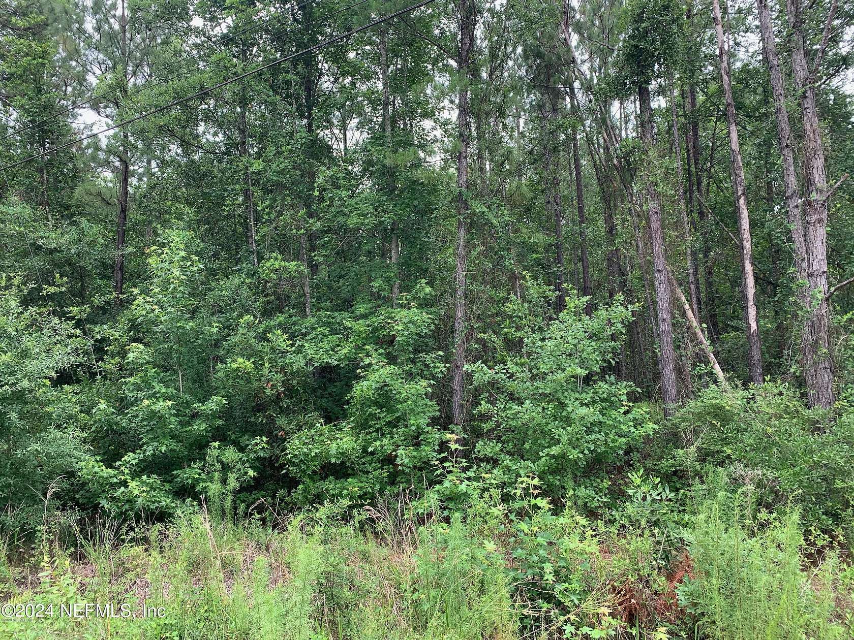 1.71 Acres of Residential Land for Sale in Middleburg, Florida