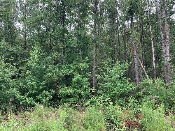 1.7 Acres of Residential Land for Sale in Middleburg, Florida