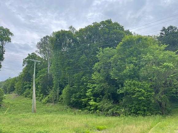 17.85 Acres of Land for Sale in Niota, Tennessee