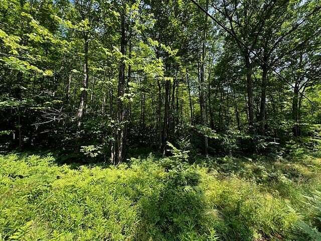 3.17 Acres of Land for Sale in Temple, Maine