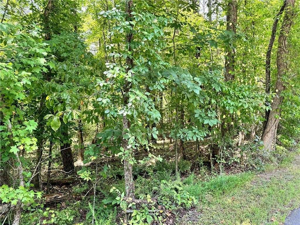 7 Acres of Residential Land for Sale in Dahlonega, Georgia