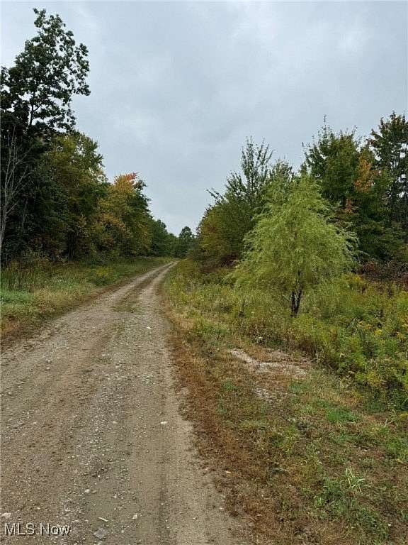 42.74 Acres of Recreational Land for Sale in Freedom, Ohio